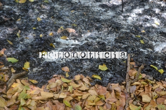 Fotojornalismo (67)